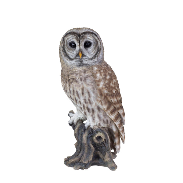 SoReal- Barred Owl