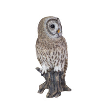 Load image into Gallery viewer, SoReal- Barred Owl
