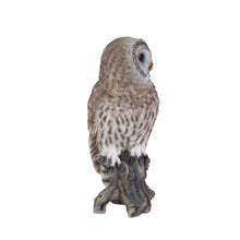 Load image into Gallery viewer, SoReal- Barred Owl
