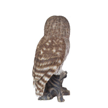 Load image into Gallery viewer, SoReal- Barred Owl

