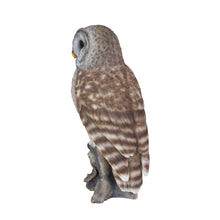 Load image into Gallery viewer, SoReal- Barred Owl
