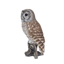 Load image into Gallery viewer, SoReal- Barred Owl
