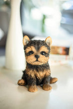 Load image into Gallery viewer, SoReal- Yorkshire terrier
