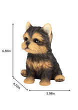 Load image into Gallery viewer, SoReal- Yorkshire terrier
