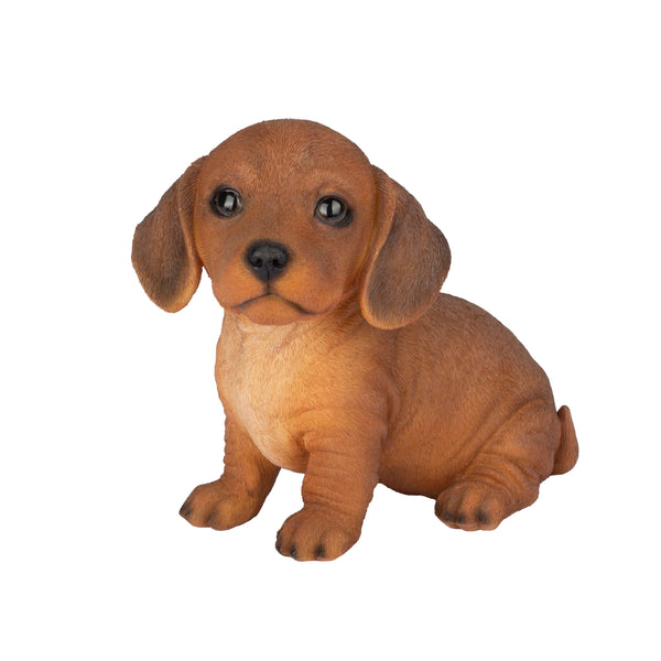 SoReal- Dachshund