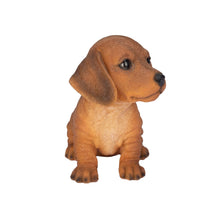 Load image into Gallery viewer, SoReal- Dachshund
