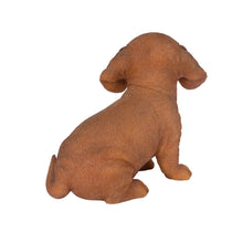 Load image into Gallery viewer, SoReal- Dachshund
