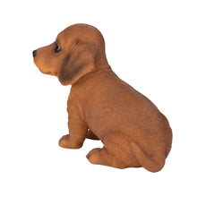 Load image into Gallery viewer, SoReal- Dachshund

