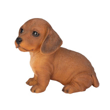 Load image into Gallery viewer, SoReal- Dachshund
