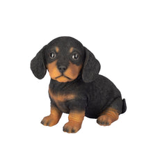 Load image into Gallery viewer, SoReal-  Dachshund
