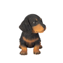 Load image into Gallery viewer, SoReal-  Dachshund
