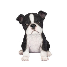 Load image into Gallery viewer, SoReal- Boston Terrier
