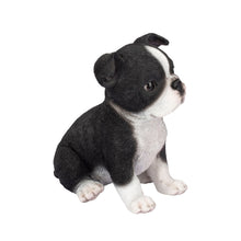 Load image into Gallery viewer, SoReal- Boston Terrier
