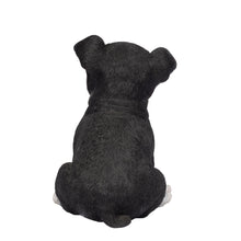 Load image into Gallery viewer, SoReal- Boston Terrier
