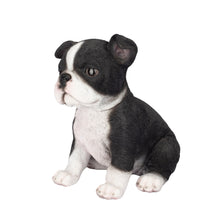 Load image into Gallery viewer, SoReal- Boston Terrier
