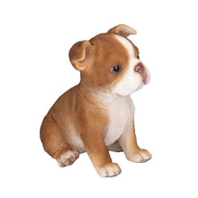 Load image into Gallery viewer, SoReal- Boston Terrier
