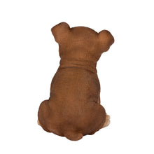 Load image into Gallery viewer, SoReal- Boston Terrier
