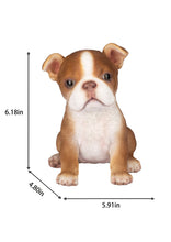 Load image into Gallery viewer, SoReal- Boston Terrier
