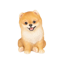 Load image into Gallery viewer, SoReal- Pomeranian
