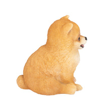 Load image into Gallery viewer, SoReal- Pomeranian
