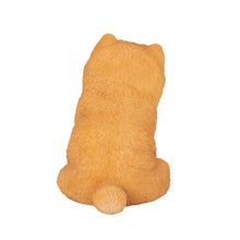 Load image into Gallery viewer, SoReal- Pomeranian
