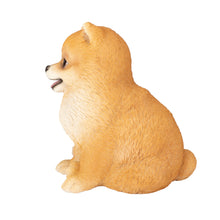 Load image into Gallery viewer, SoReal- Pomeranian
