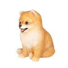 Load image into Gallery viewer, SoReal- Pomeranian

