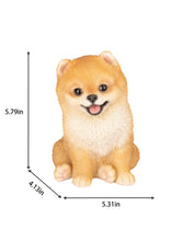 Load image into Gallery viewer, SoReal- Pomeranian
