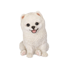 Load image into Gallery viewer, SoReal- Pomeranian
