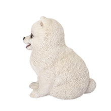 Load image into Gallery viewer, SoReal- Pomeranian
