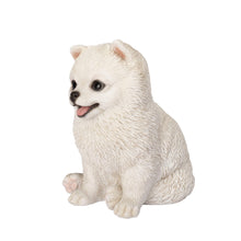 Load image into Gallery viewer, SoReal- Pomeranian
