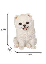 Load image into Gallery viewer, SoReal- Pomeranian
