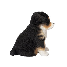 Load image into Gallery viewer, SoReal - Australian Shepherd
