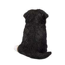 Load image into Gallery viewer, SoReal - Australian Shepherd
