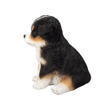 Load image into Gallery viewer, SoReal - Australian Shepherd
