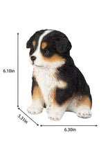 Load image into Gallery viewer, SoReal - Australian Shepherd
