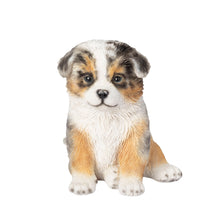 Load image into Gallery viewer, SoReal - Australian Shepherd
