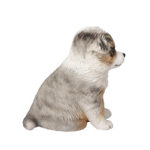 Load image into Gallery viewer, SoReal - Australian Shepherd
