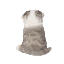 Load image into Gallery viewer, SoReal - Australian Shepherd
