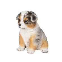 Load image into Gallery viewer, SoReal - Australian Shepherd
