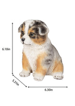 Load image into Gallery viewer, SoReal - Australian Shepherd
