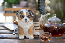 Load image into Gallery viewer, SoReal - Australian Shepherd
