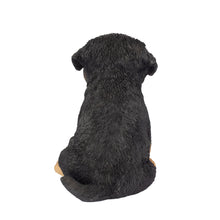 Load image into Gallery viewer, SoReal - Rottweiler
