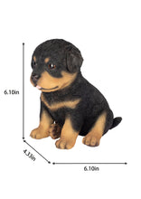Load image into Gallery viewer, SoReal - Rottweiler
