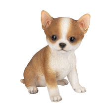 Load image into Gallery viewer, SoReal - Chihuahua
