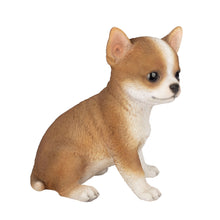 Load image into Gallery viewer, SoReal - Chihuahua
