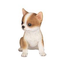 Load image into Gallery viewer, SoReal - Chihuahua
