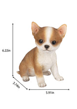 Load image into Gallery viewer, SoReal - Chihuahua
