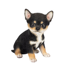 Load image into Gallery viewer, SoReal - Chihuahua
