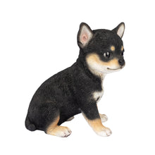 Load image into Gallery viewer, SoReal - Chihuahua
